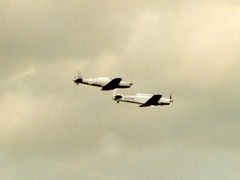 Formationsflug Pilatus P-2 und Fiat G46